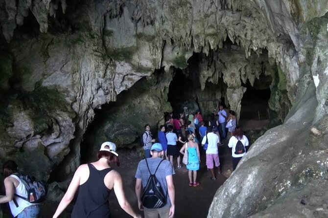10-Hour Guided Tour of Samana and Bacardi Island Los Haitises - Pickup from Puerto Plata: smooth if your details are right
