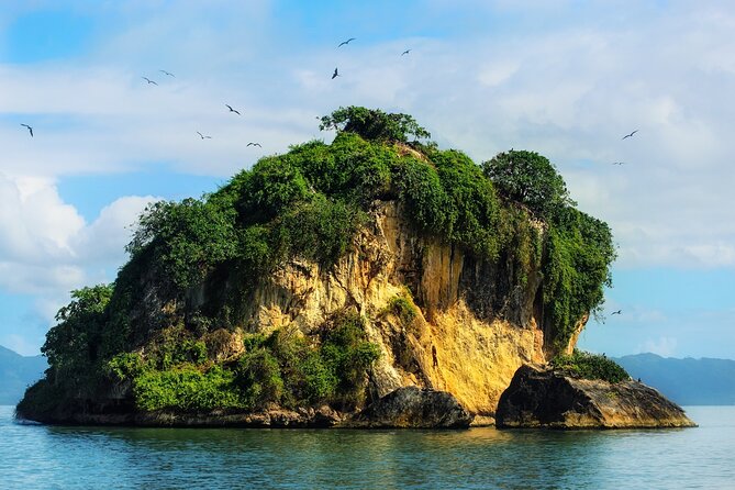 10-Hour Guided Tour of Samana and Bacardi Island Los Haitises - Los Haitises mangroves and Taino caves: a tour that mixes scenery and meaning