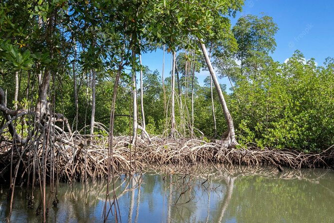 10-Hour Guided Tour of Samana and Bacardi Island Los Haitises - What you get for $130: the value is in the all-in structure