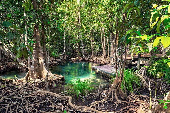 10-Hour Guided Tour of Samana and Bacardi Island Los Haitises - Guides and language help: the human factor on the water