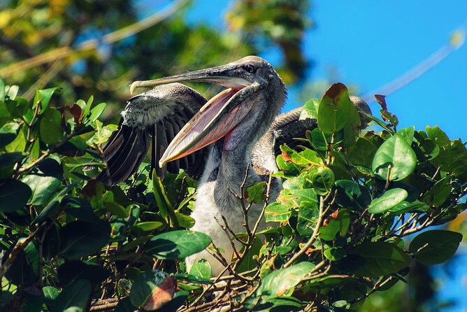 10-Hour Guided Tour of Samana and Bacardi Island Los Haitises - Cruising Samaná Bay and San Lorenzo: why the boat portion matters