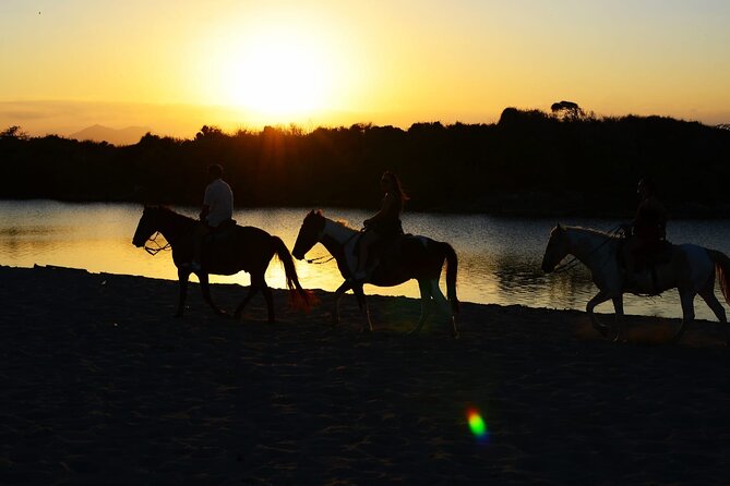 2-Hour Horseback Riding Tour at Sunset from Punta Cana - Key things that make this Punta Cana sunset ride worth your time