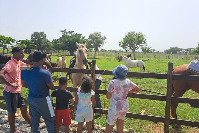 2-Hour Horseback Riding Tour at Sunset from Punta Cana - The ride through countryside to the coast: what the route feels like