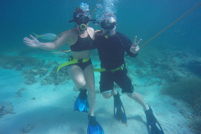 3 ADVENTURES: Sailing Catamaran Cruise - Hooka Diving - Snorkeling - The 4-hour Punta Cana schedule: pickup, boarding, and why timing matters