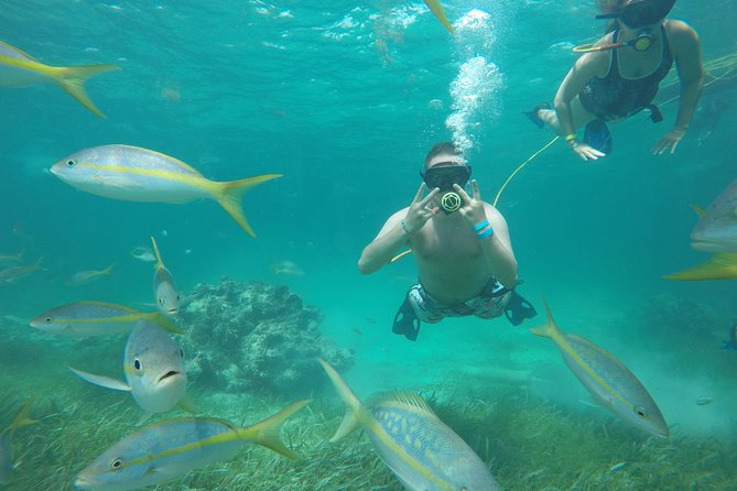 3 ADVENTURES: Sailing Catamaran Cruise - Hooka Diving - Snorkeling - Hooka underwater breathing session: comfort, safety, and the one big gotcha