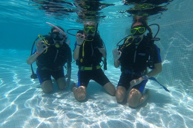 3 Days Open Water Diving Course in Punta Cana - Price and value: what $490 gets you in Punta Cana