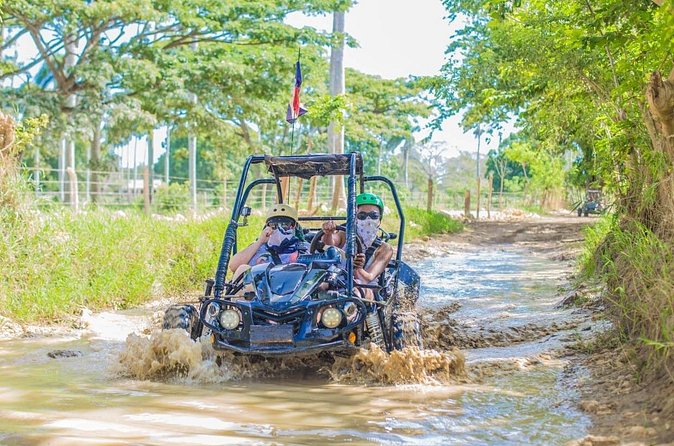 3-Hour Extreme Buggy Tour of Punta Cana - Vehicle reality check: standard vs premium buggies and ride safety
