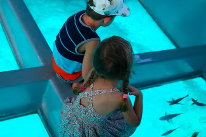 3 hrs Glass Boat Tour in Punta Cana - Key Highlights You’ll Actually Notice