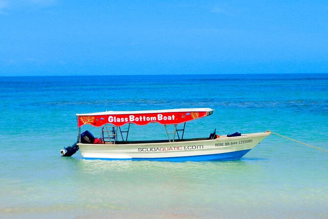 3 hrs Glass Boat Tour in Punta Cana - Stop 1 at Bávaro Beach: Dolphin Spotting in a Short Window