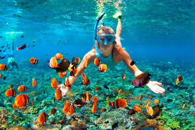 3 hrs Glass Boat Tour in Punta Cana - Stop 2 Snorkeling: 30 Minutes for Marine Life (and Gear Check)