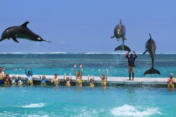 3 hrs Glass Boat Tour in Punta Cana - The Glass-Bottom Boat Experience: Expect Clarity, Not Magic