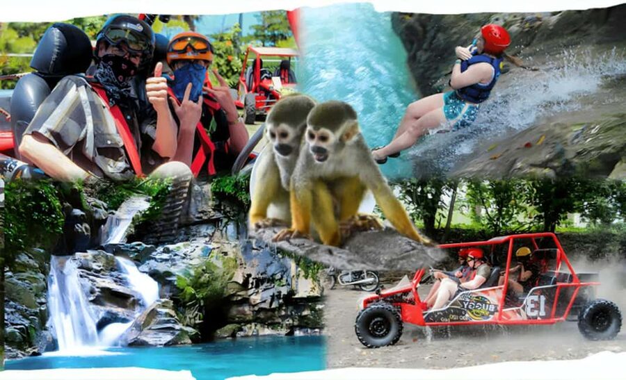 3x1: Monkeyland Damajagua Falls & Buggy Tour Puerto plata - Key things to know before you go
