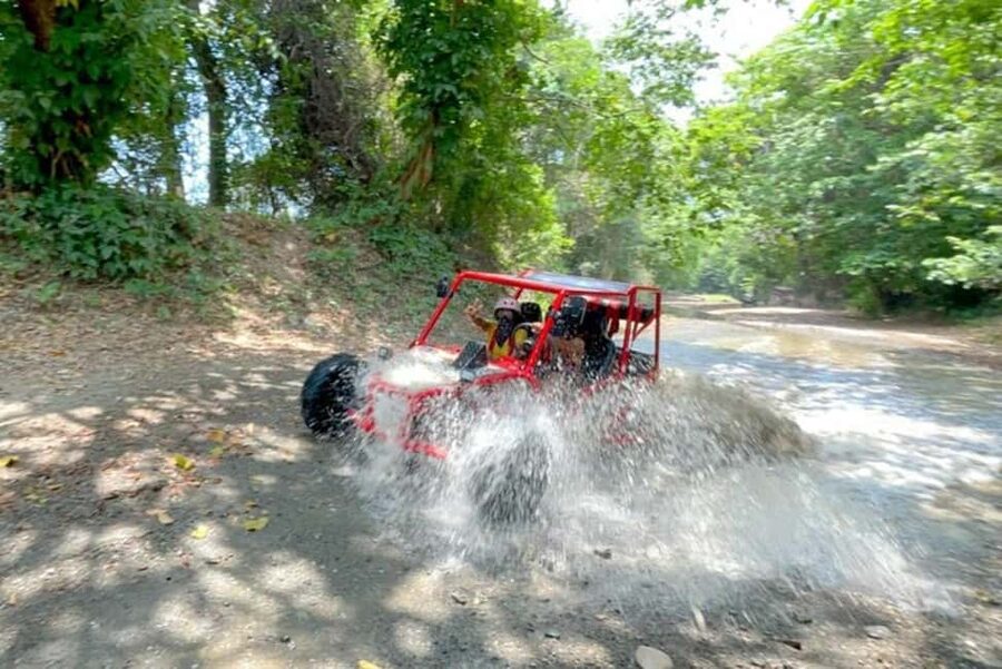 3x1: Monkeyland Damajagua Falls & Buggy Tour Puerto plata - Who this tour is perfect for, and who should skip it
