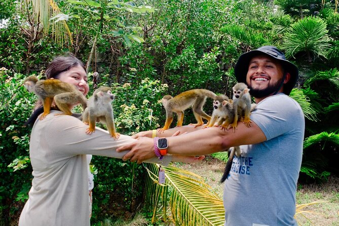 3x1: Monkeyland Waterfalls and Buggy Tour Puerto Plata - Your Puerto Plata 3x1 Day: What It Feels Like