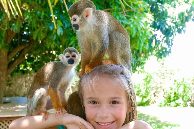 3x1: Monkeyland Waterfalls and Buggy Tour Puerto Plata - Weather, Group Size, and What to Plan Around
