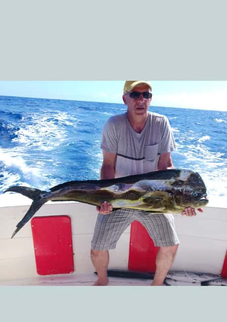 4 hour deep sea fishing experience from punta cana - From Punta Cana to Cabeza de Toro: the day starts on land