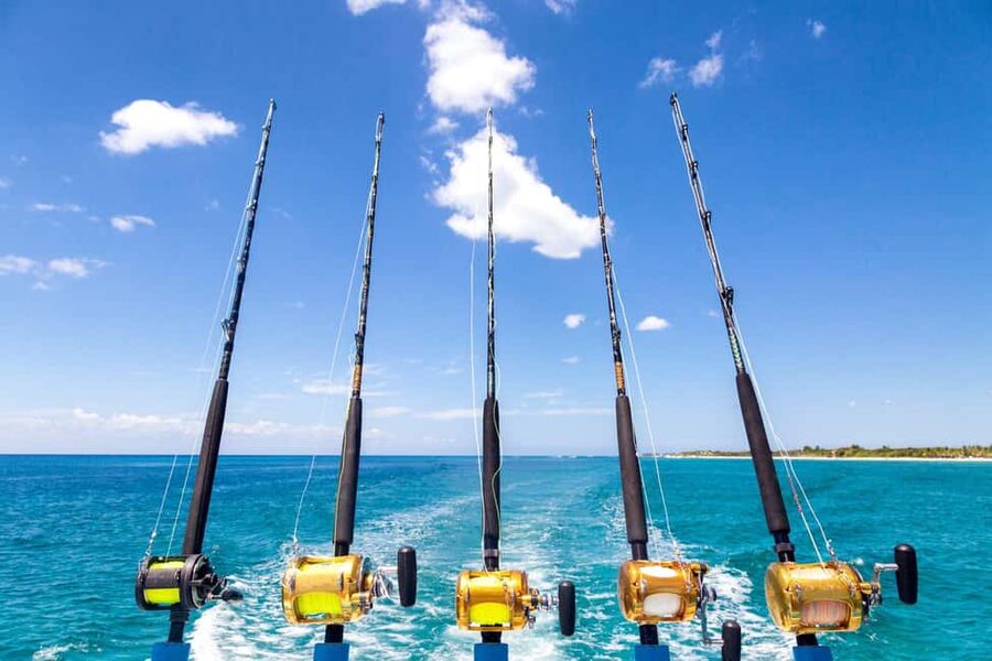4 hour deep sea fishing experience from punta cana - Trolling for deep-sea bites: what the 4-hour fishing feels like