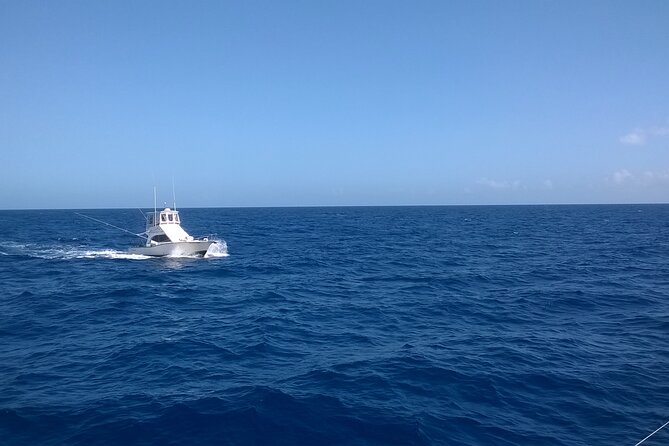 4 Hour Punta Cana Fishing Tour - What You’re Really Buying: 4 Hours of Fishing (Plus Transit Time)