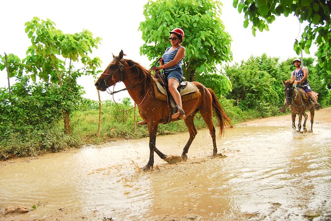 4 on 1 Tour. (Included Buggy, Zip lines, Horseback & Atabey Park) - Lunch at Rancho Tours Point: the Dominican buffet you don’t have to hunt for