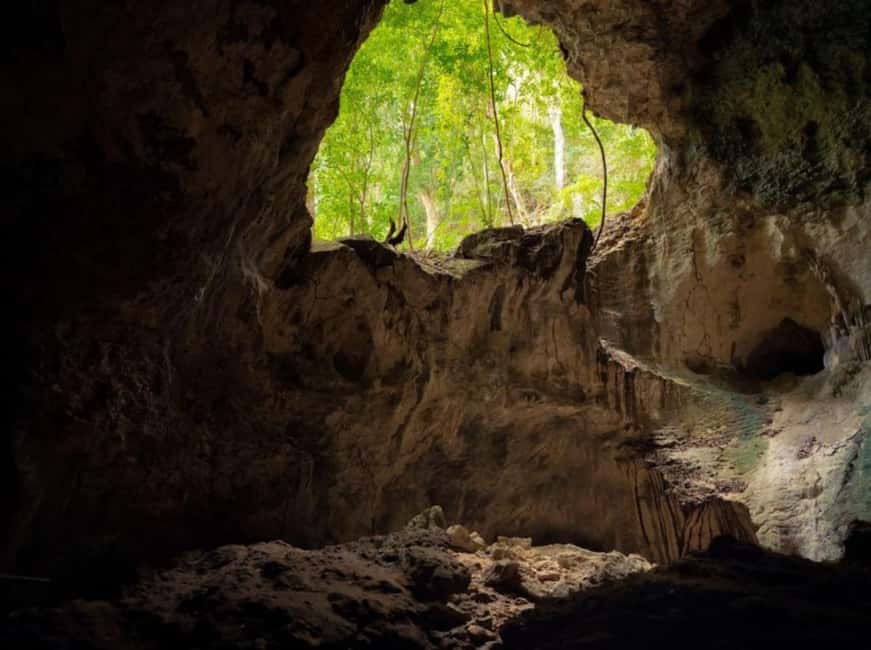 4in1: Los Haitises+ Kayaking+ Natural Pools+ Montana Redonda - Caves, petroglyphs, and the park story you’ll actually use