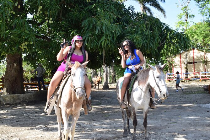5 tours in 1 (Eco Farm/Horseback/City Tour/Buggy/Zipline) - The Dominican cocktail break and Higuey culture: Basilica Virgen de La Altagracia