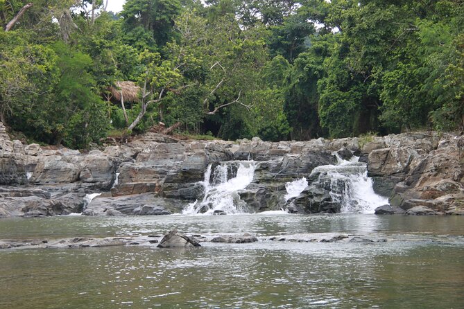 5 Tours of Jungle and Dominican Culture with Lunch - Zip lines over Anamuya mountains: four stations and 600+ meters
