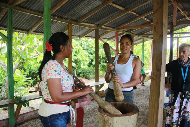 5 Tours of Jungle and Dominican Culture with Lunch - Lunch by the river: Dominican buffet plus a swim option