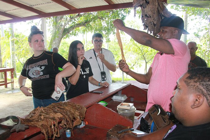 5 Tours of Jungle and Dominican Culture with Lunch - Off-road buggies to Taino caves and Macao Beach