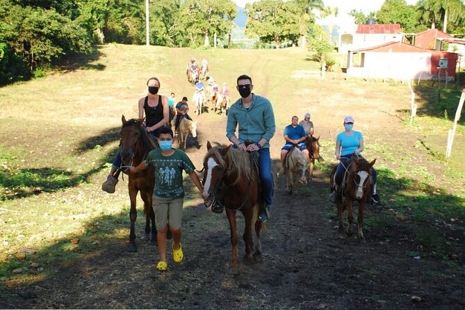 6 in 1 tours Full Day Safari, Zipline, Buggies and Horse Riding - A Full Day of Ranch Tastings, Zipline, Buggies, and Macao Beach