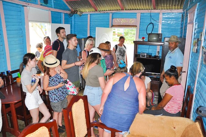8-Hour Tour Enjoying the Dominican Culture Through the Countryside - The 15-minute horse ride: fun, but treat it like an activity