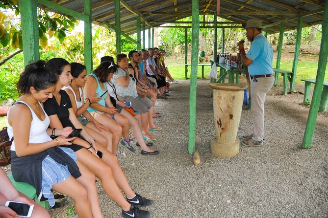 8-Hour Tour Enjoying the Dominican Culture Through the Countryside - Lunch at a private ranch: where the food story becomes the food experience