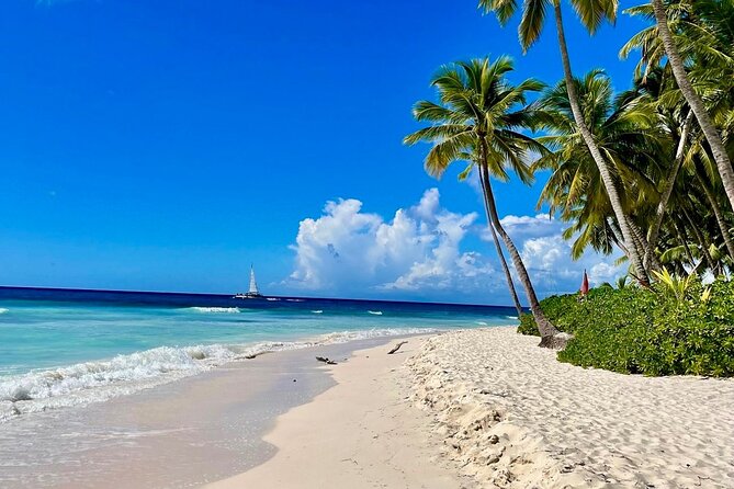 A Magical Day on Saona Island - Why Saona Island from Punta Cana feels so special