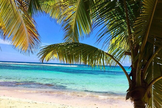 A Magical Day on Saona Island - Lunch, open bar, and island drinks: easy, included comfort