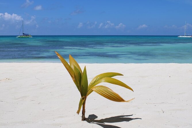 A Magical Day on Saona Island - The boat ride back from Saona: music, dancing, and good vibes