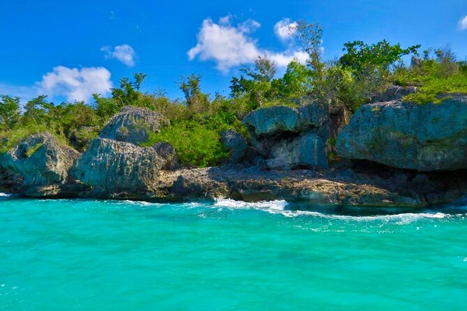 A Magical Day on Saona Island - Who this tour suits best (and who should think twice)