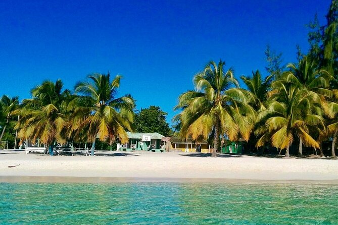 A Magical Day on Saona Island - What to watch for: weather, timing, and comfort on a 10-hour day