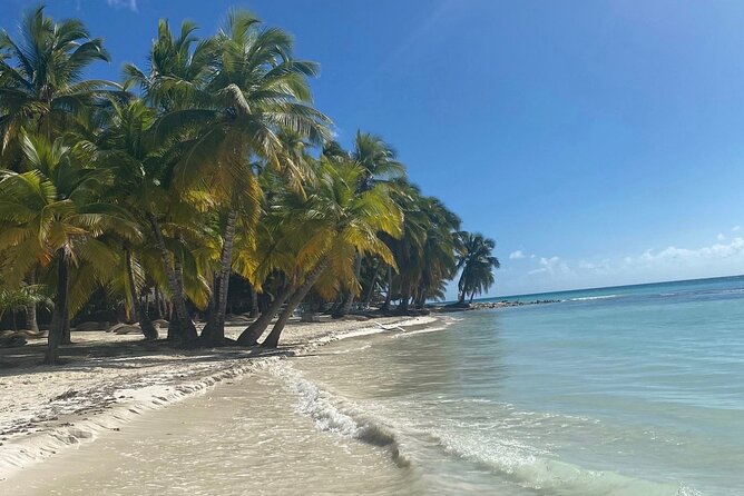 A Magical Day on Saona Island - Reaching Isla Saona: where the day slows down