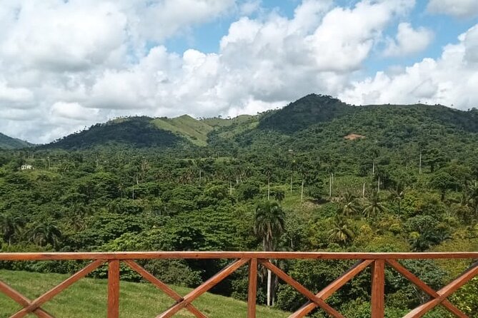 Adrenaline Total: Zipline Tour in Punta Cana - Who Will Love This Tour (and Who Might Rethink It)