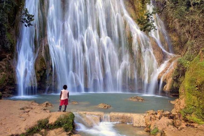 Adventure in the bay of samana and waterfall El limon from punta cana - Key highlights at a glance