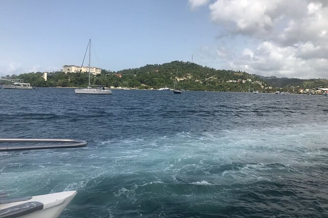 Adventure in the bay of samana and waterfall El limon from punta cana - Drinks, snacks, and the pacing of a 10-hour day