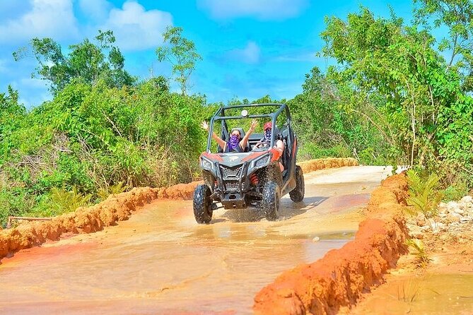 Adventure Tour con Buggies Ziplining Cenote y Taino Culture - Where the Taino Culture and Cave Stories Fit In