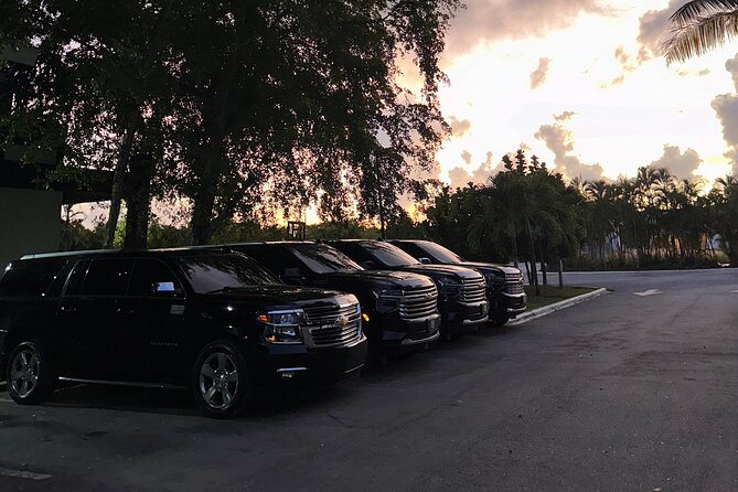 Affordable Private Airport Transfer in Punta Cana - Who should book this transfer in Punta Cana