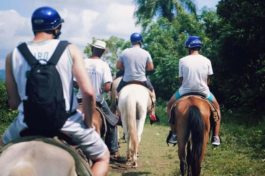 All-Inclusive Day Trip from Punta Cana: DR Culture Immersion - Safari-style countryside ride: fun, but plan for the road