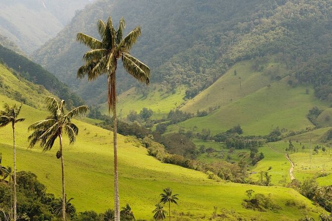 Anamuya Mountains Small Group Walking Tour - Price and Logistics: what $49 buys you in Punta Cana