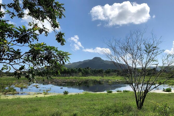 ATV and Horse Riding in Puerto Plata / Shore Excursion & Hotel - The Dominican Lunch Stop: Home Cooking, Not Resort Food