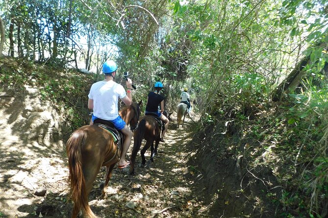 ATV and Horse Riding in Puerto Plata / Shore Excursion & Hotel - Optional Add-Ons at the Park: Zip Line and Tropical Garden