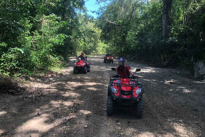 ATV N Zip: 8 Zip Lines plus ATV's - Price and Value: What $124.99 Buys You Here