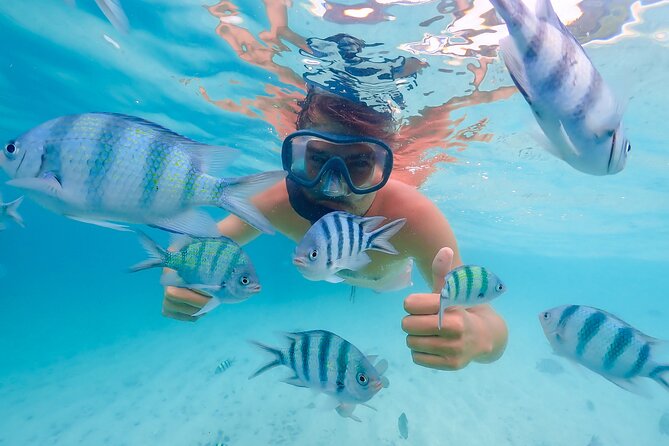 Bacardi Island Excursion with Catamaran, Beach and Lunch - Quick Key Points Before You Go