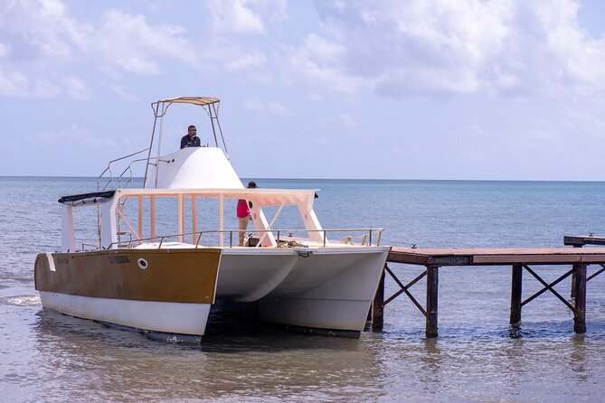 Bacardi Island Excursion with Catamaran, Beach and Lunch - The Guides: Real Names, Real Energy, and a Better Day