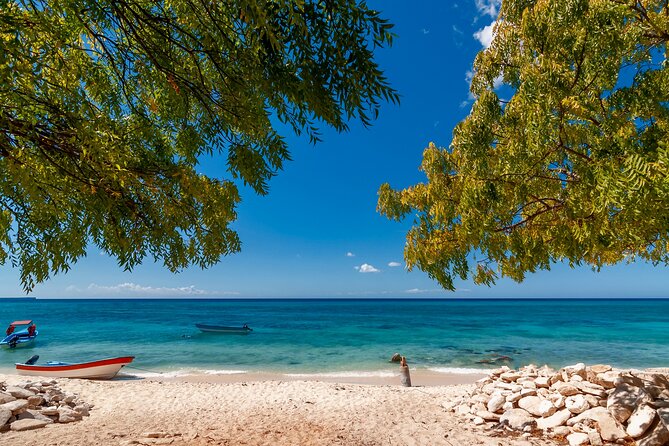 Bahía de las águilas glamping experience from Santo Domingo - Key highlights to know before you go